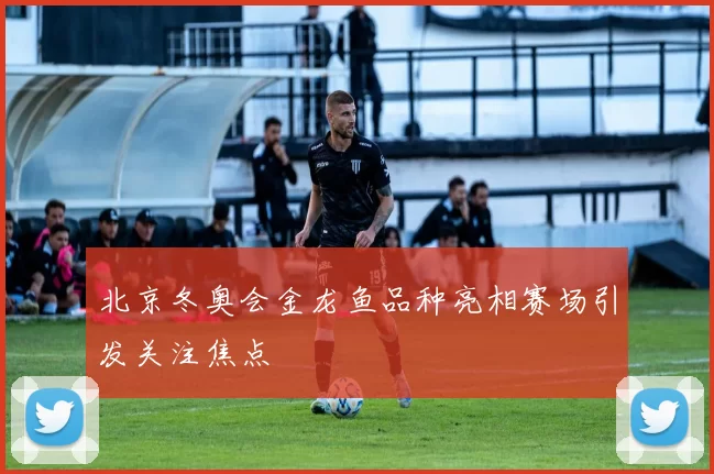 北京冬奥会金龙鱼品种亮相赛场引发关注焦点