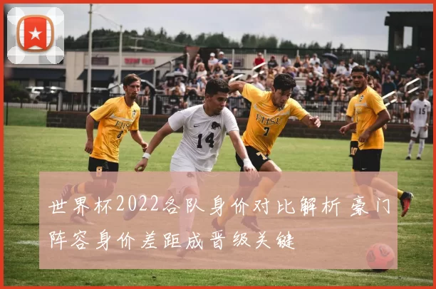 世界杯2022各队身价对比解析 豪门阵容身价差距成晋级关键