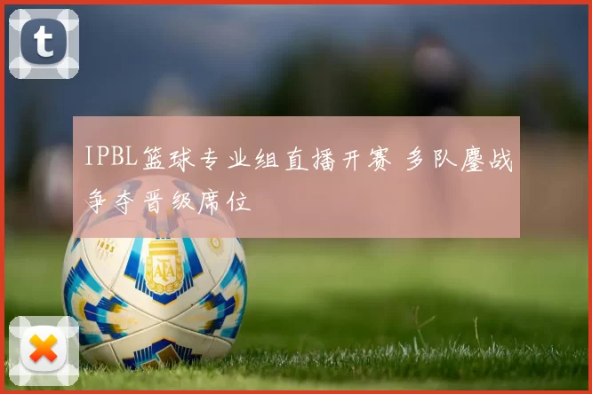 IPBL篮球专业组直播开赛 多队鏖战争夺晋级席位