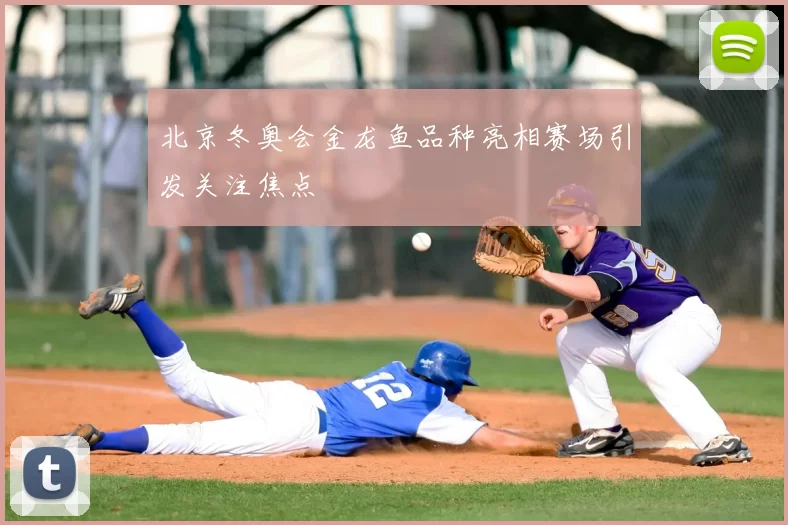 北京冬奥会金龙鱼品种亮相赛场引发关注焦点