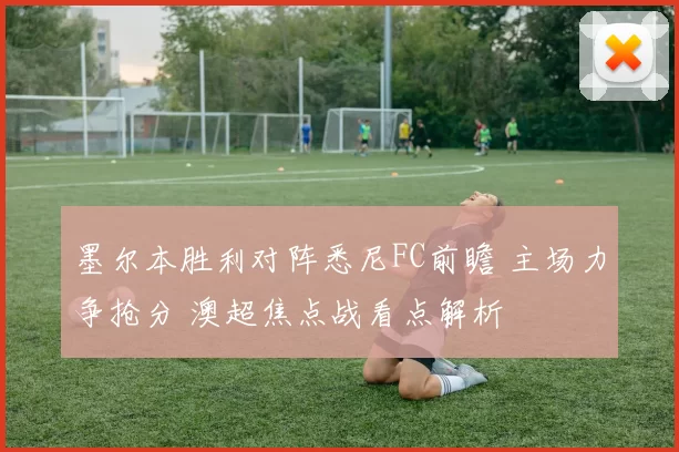 墨尔本胜利对阵悉尼FC前瞻 主场力争抢分 澳超焦点战看点解析