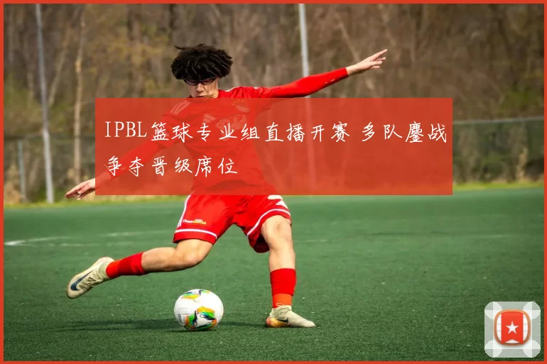 IPBL篮球专业组直播开赛 多队鏖战争夺晋级席位