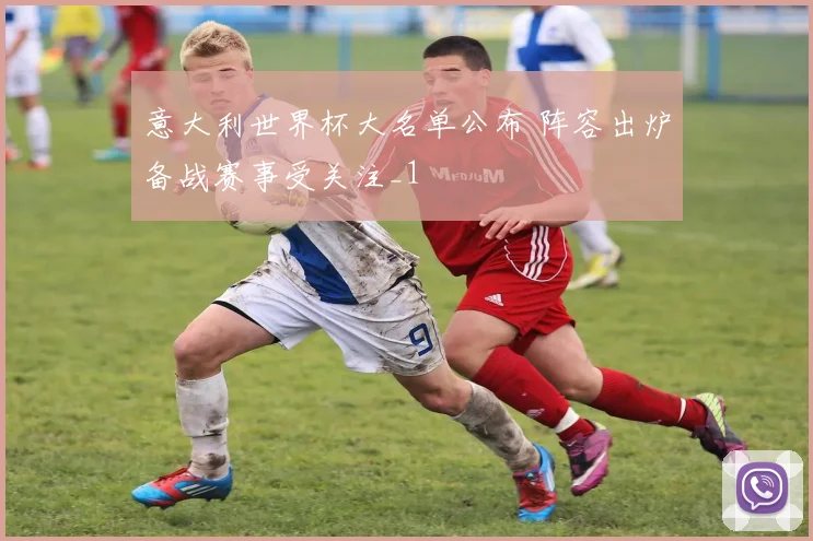 意大利世界杯大名单公布 阵容出炉备战赛事受关注_1