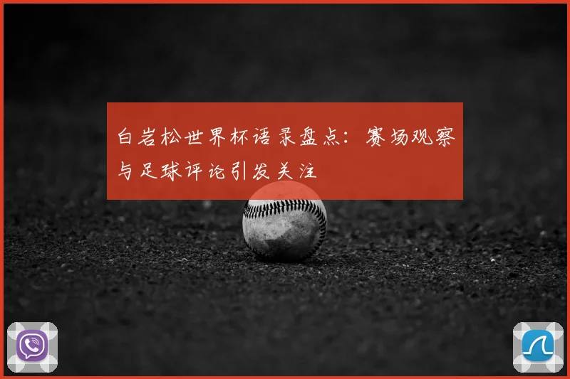 白岩松世界杯语录盘点:赛场观察与足球评论引发关注