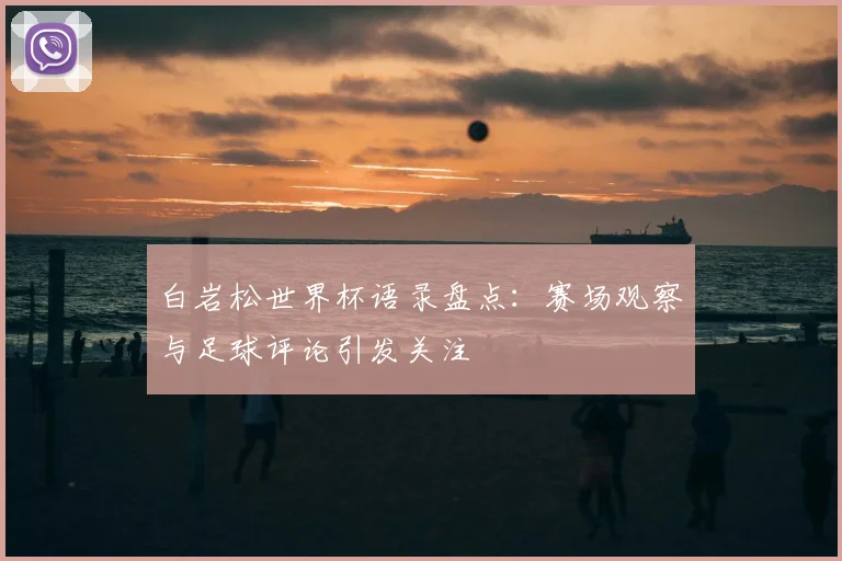白岩松世界杯语录盘点:赛场观察与足球评论引发关注