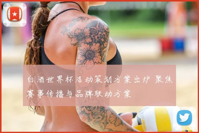 白酒世界杯活动策划方案出炉 聚焦赛事传播与品牌联动方案